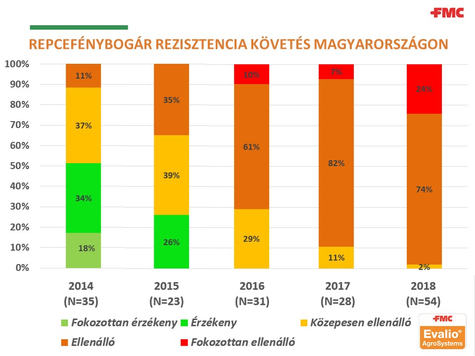 fotó