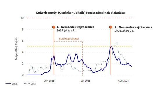 fotó