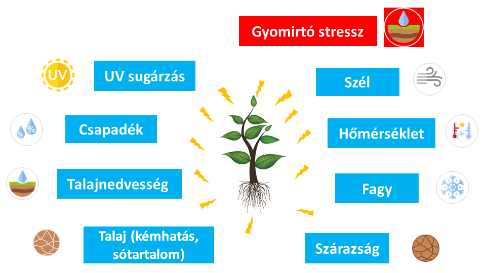 rhizomagic