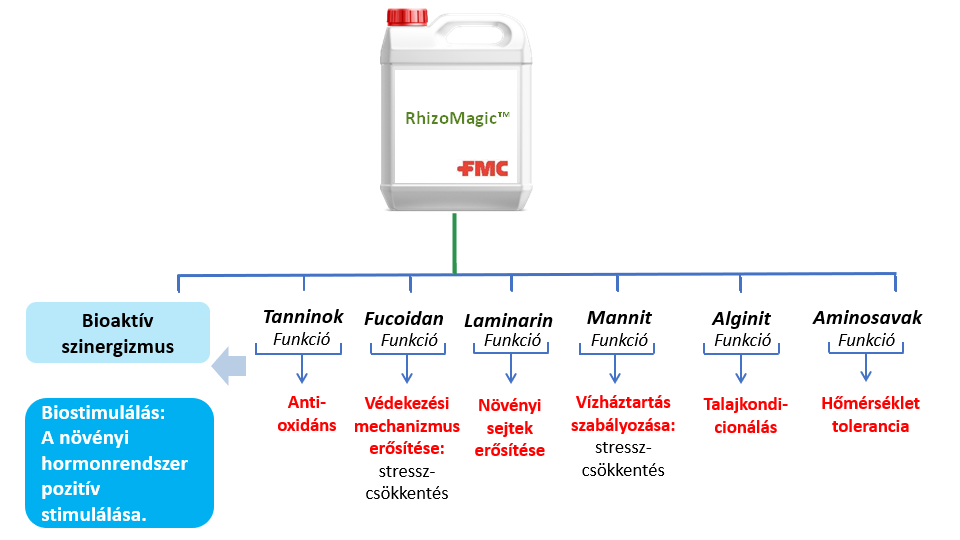 fotó