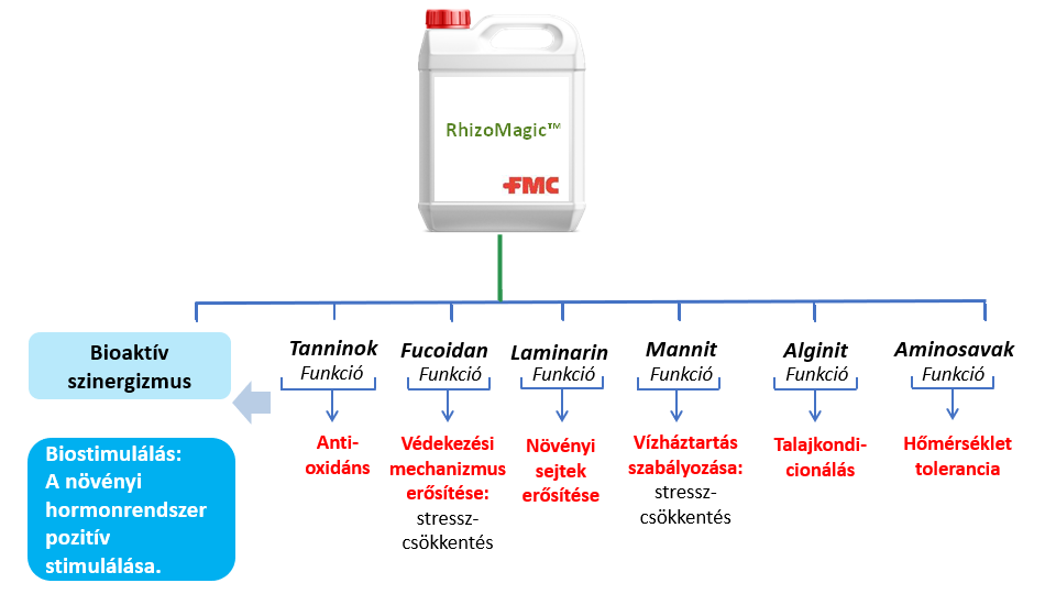 rhizomagic