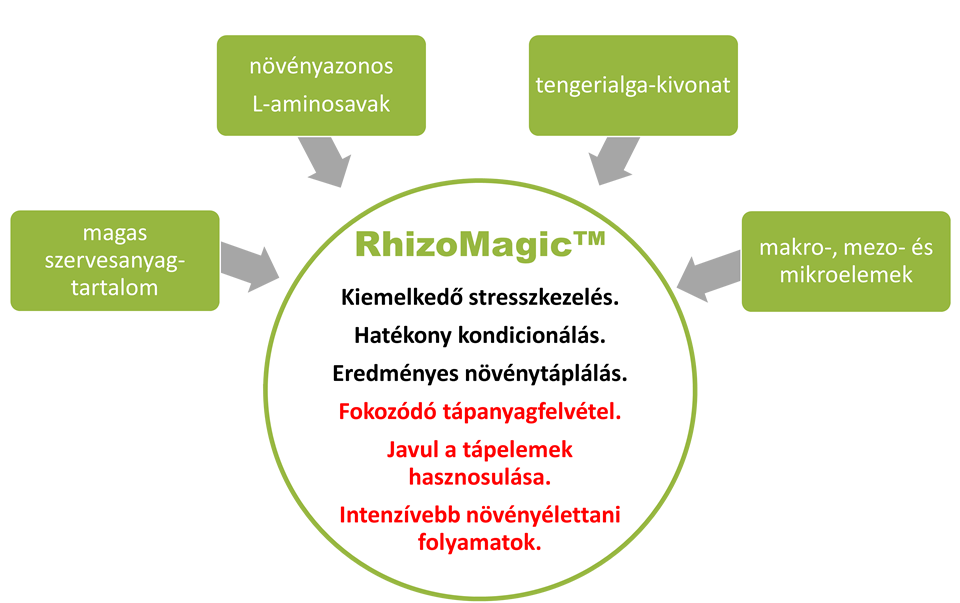 rhizomagic