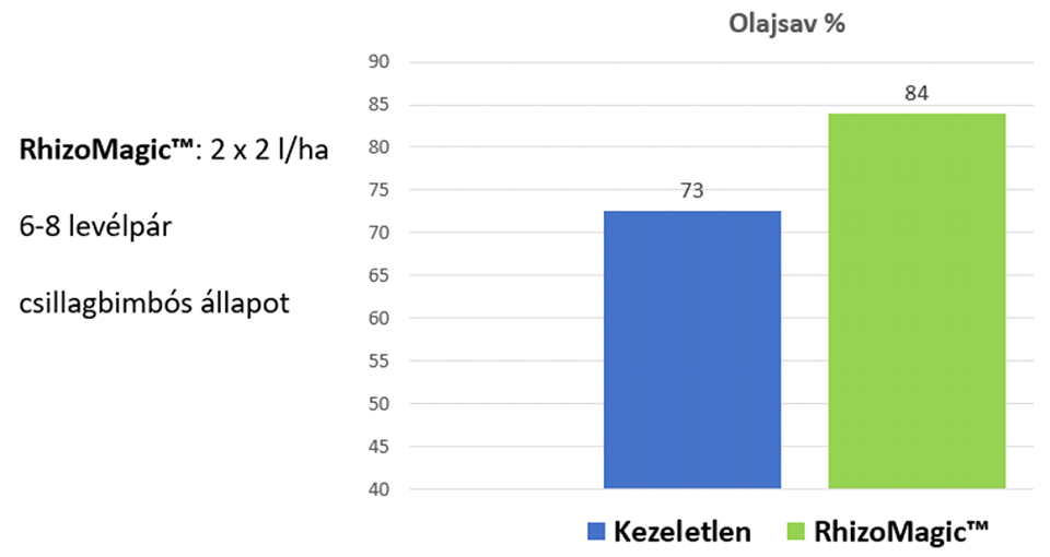 fotó